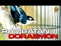 Download Lagu MASTERAN RAMBATAN GACOR NEMBAK PANJANG PANJANG