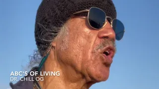 Dr Chill OG - ABC S OF LIVING