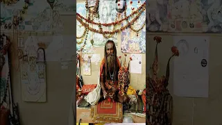 2 - 4 महीने में सिद्धि मिल जाती है - श्री हित प्रेमानंद जी महाराज Shree Hit Premanand ji Maharaj