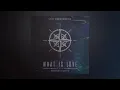 Lost Frequencies - What Is Love 2016 (Bryan West Remix) [Cover Art]