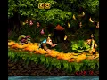 Donkey Kong Country 3: Dixie Kong's Double Trouble! (SNES) [Part 2: Kremwood Forest]