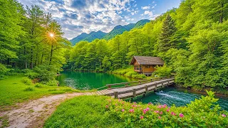 "The August Sun rest on the Hill" Beautiful Relaxing Music, Peaceful Music by Love YourSelf
