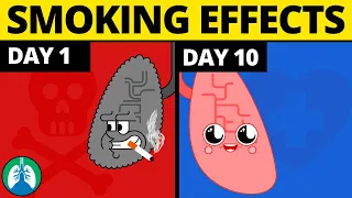 what happens to your body when you quit smoking