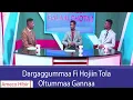 Download Lagu AMECO HIBIR: Dargaggummaa Fi Hojiin Tola Oltummaa Gannaa  03/11/2017
