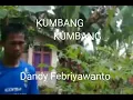 Download Lagu Ade Irma Kumbang Kumbang - Dandy Febriyawanto (Official Music Video Clip)