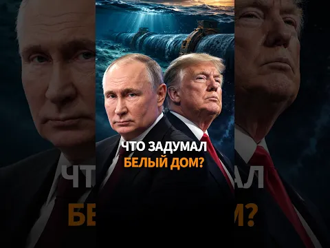 "СЕВЕРНЫЙ ПОТОК" СНОВА ЗАРАБОТАЕТ: Трамп хочет вернуть газ Путина в Европу?