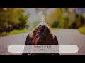 我的未來不是夢 - 張雨生『我的未來不是夢 我認真的過每一分鐘』【動態歌詞Lyrics】