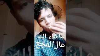 انا اسد بس انت سد محمد البصيلي 