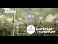 The Good Dispensary in Mesa Arizona - Dispensary Showcase