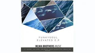 funkysoul u0026 da capo the word mega dub 