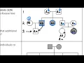 Pedigree Worksheet Review