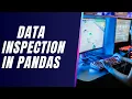 Data Inspection in Pandas