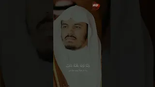 ياسر الدوسري انك ميت وأنهم ميتون     دندنها
