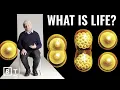 Lagu What is life? A Nobel Prize-winning scientist answers | Paul Nurse Full Interview