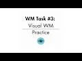 WM Task Visual WM - Practice