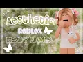 15 Aesthetic ROBLOX Display Name Ideas Peachy Soul