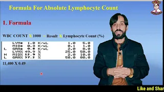 How to Calculate Absolute Lymphocyte