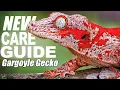 Gargoyle Gecko Care Setup The Ultimate Guide