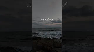 على بالي ولا إنت داري خالد الصيفي شيرين عبد الوهاب على بالي شيرين رومانسي حزين حالات واتس  على بالي ولا إنت داري خالد الصيفي شيرين عبد الوهاب على بالي شيرين رومانسي حزين حالات واتس
