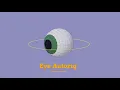 Eye Autorig Maya Python