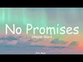 Download Lagu Shayne Ward - No Promises (Lyrics)