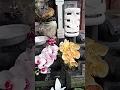 Download Lagu Bagus dan Indah ! Penataan tempat puja Ganesha di depan rumah. Menangkal energi negatif.