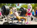 Download Lagu 🤯💪🐱Skinny Cat Dares to Lift 500kg Weights – The End 🤯💪🐱