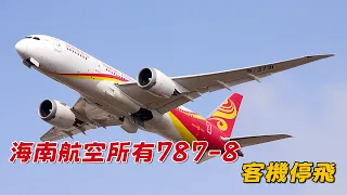 Hainan Airlines Grounds All Boeing 787-8s Why Hainan Airlines Is Grounding All of Its Boeing 78