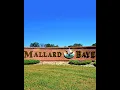 Discover Mallard Baye Your Dream Lake Subdivision in Grainger County