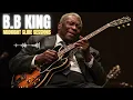 Download Lagu 👑 B.B. King's Legacy - A New Generation Finds Its Voice 🎶