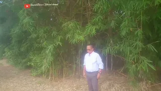 numpak motor yoyo s lipsing gajahbaru official chanel