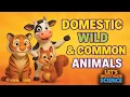 Common Domestic Wild Animals Grade 1 Unit 4 A Let s Investigate Science