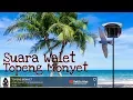 Download Lagu SP. TOPENG MONYET Original By Atax walet