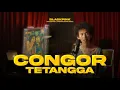 CONGOR TETANGGA - BLACKPINK