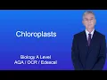 A Level Biology Revision Chloroplasts