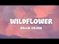 Lagu Billie Eilish - WILDFLOWER (Lyrics)