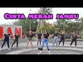 Download Lagu CINTA MERAH JAMBU || DANGDUT KOPLO || SENAM KREASI BY JERO MELATI