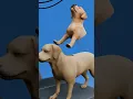 Lagu The Two Headed Dog Soviet Experiment 😮#shortvideo #shorts #firstshortvideo #3d #dog #experiment