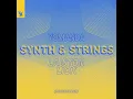 Synth & Strings (Rerecorded) (LAWTON Extended Lick)