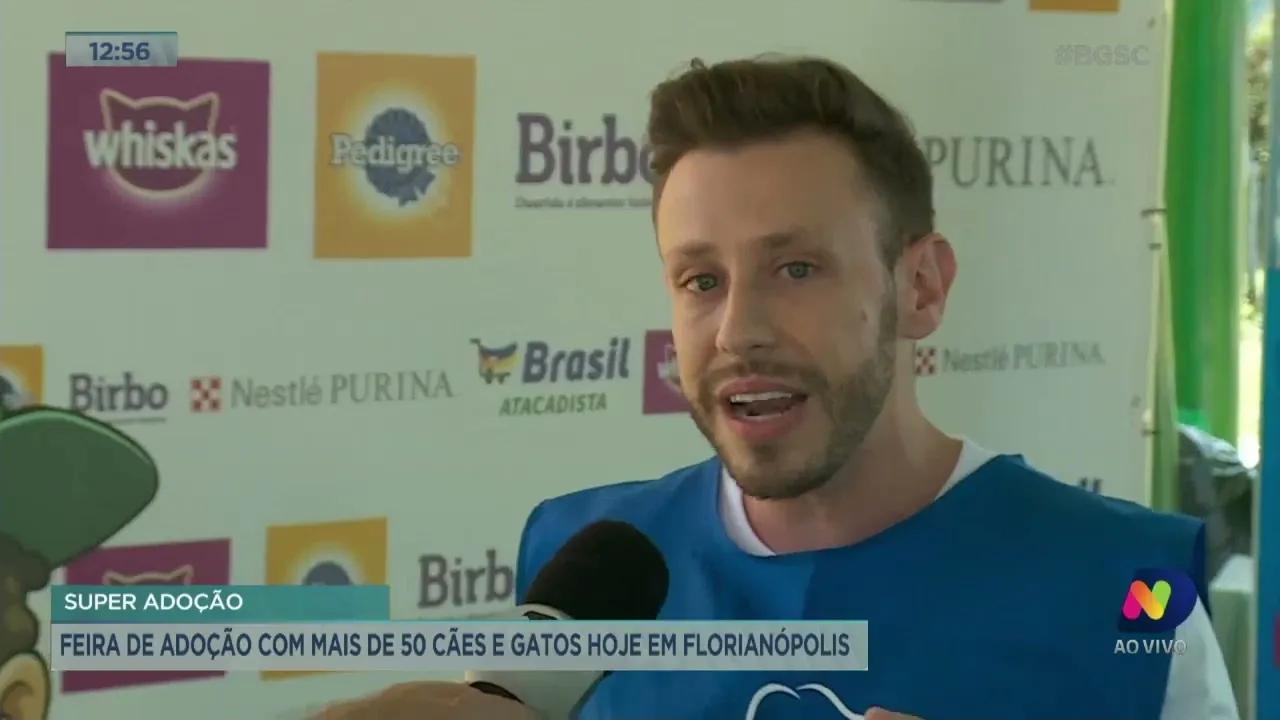 Super Adocão, maior feira de adoção de Florianópolis, acontece neste sábado (26)