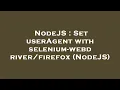 NodeJS Set userAgent with selenium - NodeJS