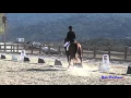 354D McKenna Goodson on Enchanted JR Beginner Novice Dressage Woodside Oct 2015