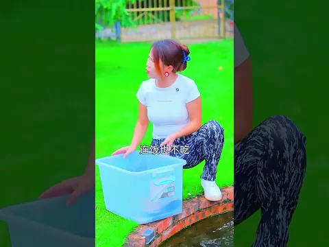 ¡Un Perro Busca a una Serpiente Peligrosa! 🐍 #viral #shortvideo