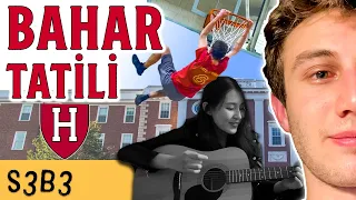 Harvard'da Bahar Tatili | HARVARD GÜNLÜKLERİ | Ali Kurmuş - S3B2 YouTube video detay ve istatistikleri