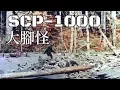 Download Lagu SCP基金會 SCP-1000 Bigfoot  大腳怪 (中文)