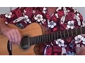Lagu Me And You And A Dog Named Boo by Lobo – Acoustic Guitar Lesson Preview from Totally Guitars