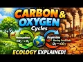 Ecology and Carbon and Oxygen Cycles