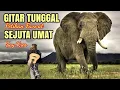 INSTRUMEN GITAR TUNGGAL LAMPUNG SAY KRES