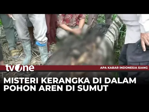 Kerangka Manusia dalam Pohon Aren Diduga Remaja Putra 17 Tahun