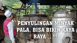 Download Penyulingan minyak Pala bisa bikin kaya raya !!! MP3